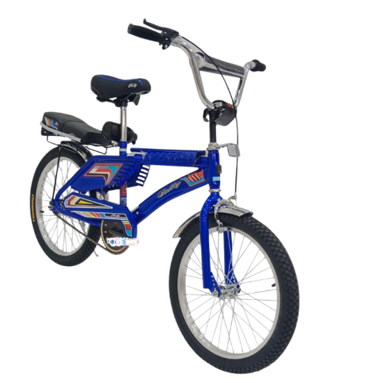 صورة دراجة رالي للأطفال 20 بوصة